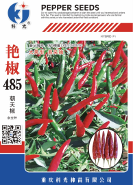 科光种苗“艳椒485”辣椒、“秋实1号”甘蓝分别入选2025年农业主导品种、农作物优良品种推广目录